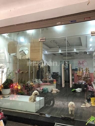 Bán nhanh nhà Thái Hà, Thang Máy, 6 tầng, 52m, 4,3MT, giá 20,9 tỷ