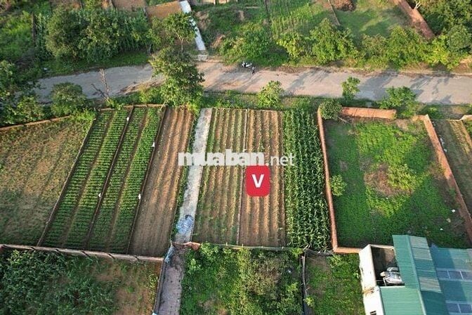 CC CẦN TIỀN LÀM NHÀ BÁN ĐẤT TÁI ĐỊNH CƯ VAI RÉO HOÀ LẠC ĐÓN SÓNG METRO