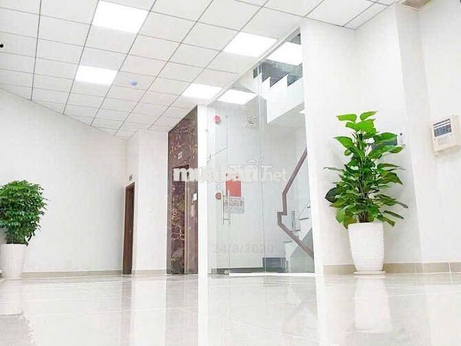 💼 Tòa Nhà 5 Tầng Quận 1 – Thang Máy, Diện Tích 5.5x20m – Giá Cực Tốt