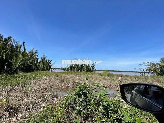 ĐẤT SÁT SÔNG MEKONG GIÁ RẺ  💵 399 triệu / 1,178m2