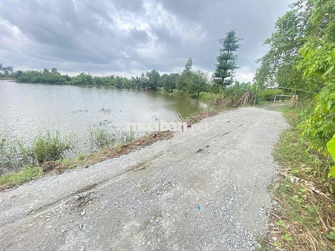 ĐẤT RUỘNG ĐƯỜNG ĐÁ MI 519m2 PHƯỜNG BÌNH ĐỨC MỚI