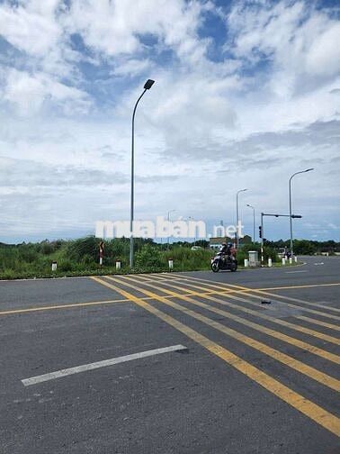 Bán đất Lua mặt tiền đường tránh phường Mỹ Hòa, Long Xuyên, dt 1500m2