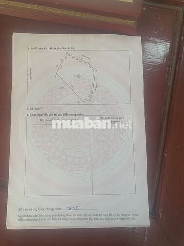 💥 BÁN ĐẤT SÂN VƯỜN ĐẸP – GẦN SÂN BAY SAO VÀNG!