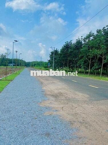 Bán lô đất sẵn thổ cư, mặt tiền đường nhựa lớn.