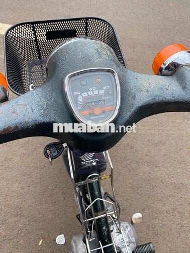 Honda Super Cub 50 Xanh lá cây