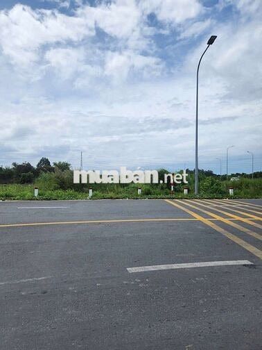 Bán đất Lua mặt tiền đường tránh phường Mỹ Hòa, Long Xuyên, dt 1500m2