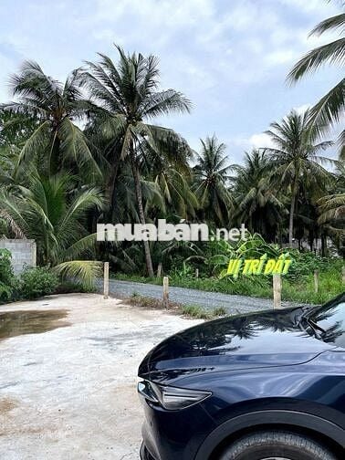 Đất thổ cư view sông 300m2 giá rẻ chỉ 339tr tại Tiền Giang cách SG70km