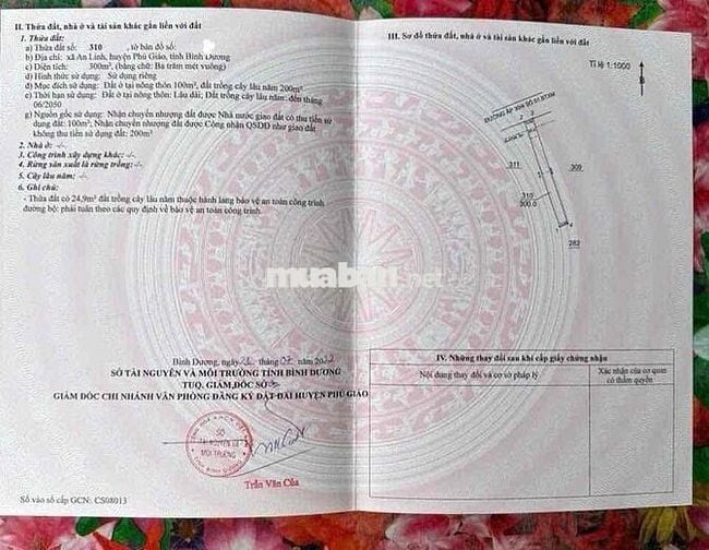 Đất HCM, giá chỉ 1tr/m2 quá rẻ bà con ơi 🔥🔥🔥