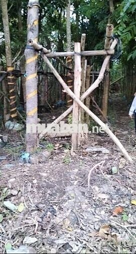 Nền 100m2 - KDC Đông Quới, tiềm năng phát triển nhanh.