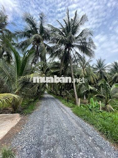 Đất thổ cư view sông 300m2 giá rẻ chỉ 339tr tại Tiền Giang cách SG70km