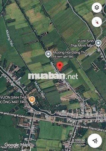 Bán Đất ruộng đã lên vườn ở Mương Hội Đồng Thu, Phường Mỹ Hoà cũ, AG