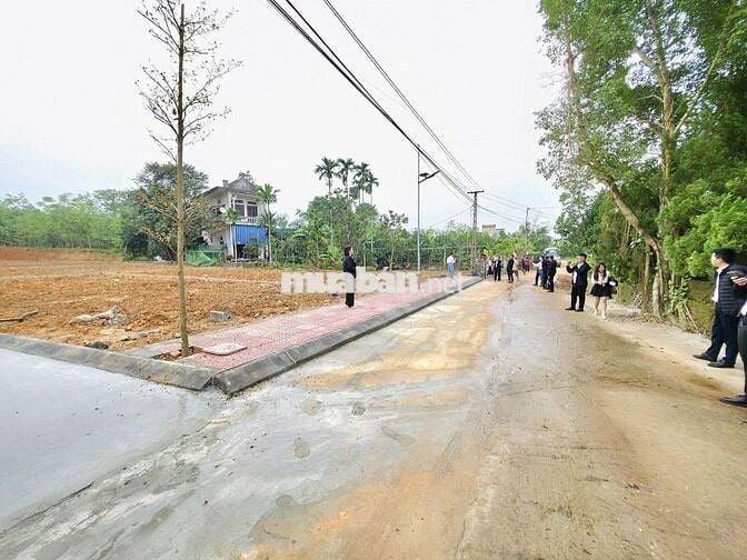 Ra mắt quỹ hàng tại xã Hợp Tiến giá chỉ 280tr/lô