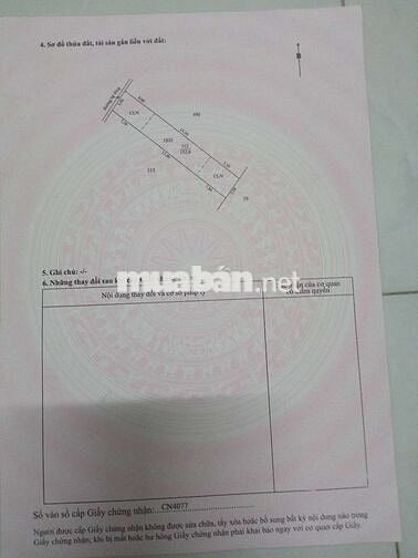 Bán đất khu phố Mỹ Hoà, phường Mỹ Phong, Đồng Tháp (Tiền Giang cũ)