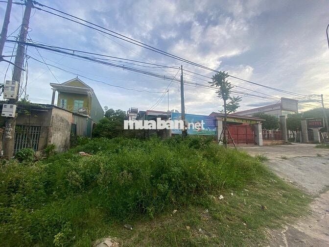 Cần Bán đất nền thổ cư 100m2 trục đường Lê Thái Tổ ,Thị xã Kỳ Anh