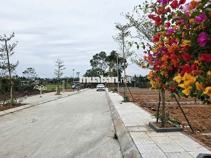 Mở bán 22 lô liền kề ngay trung tâm xã Hợp Thành - Giá F0 siêu tốt