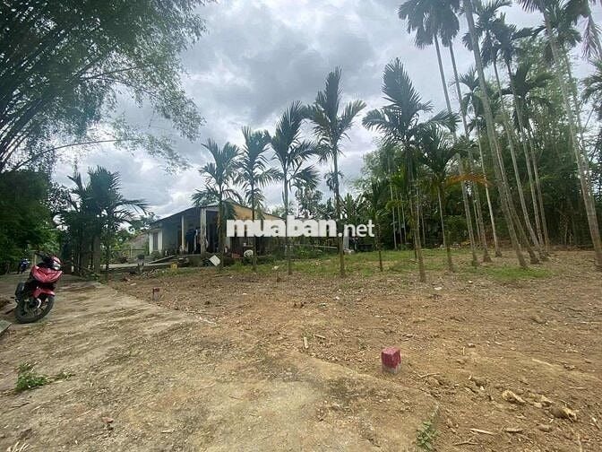 Chính chủ bán lỗ lô đất giá rẻ nhất thị trường không qua trung gian