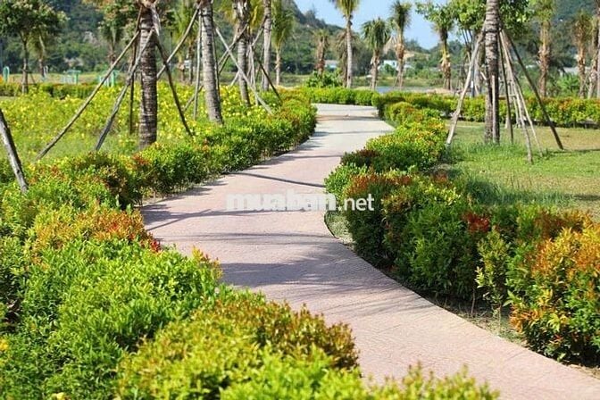 lô đất 5*25m khu Đầm Sen, đối lưng Nguyễn Phước Lan