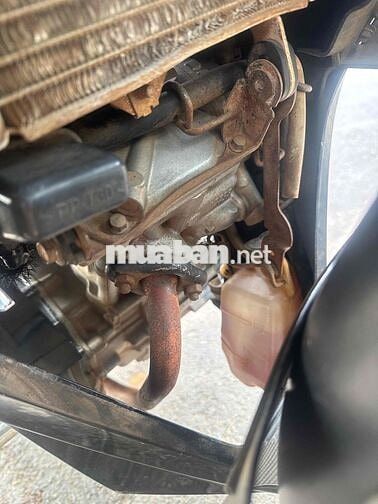 ex 5p71 2010 máy chất