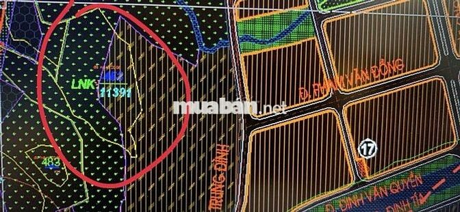 Bán Hót nhất rẻ nhất đẹp nhất 12000m2 đất CLN có 750 cây cau đã  thu