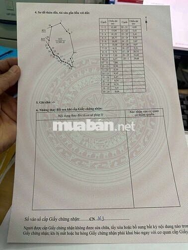 Bán Hót nhất rẻ nhất đẹp nhất 12000m2 đất CLN có 750 cây cau đã  thu