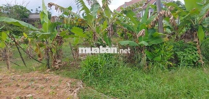 Bán đất sổ hồng 6 x 20 m mặt tiền Quốc lộ 55 cũ