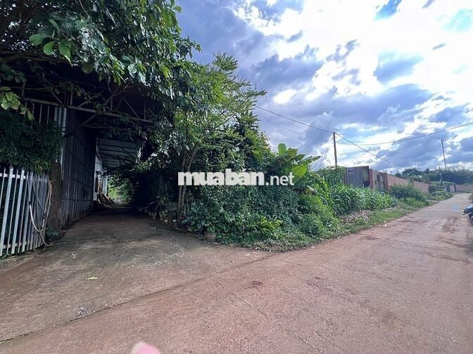 Bán lô đất mặt tiền QL14 xã Cư Jut Lâm Đồng mới đối diện KCN Tâm Thắng