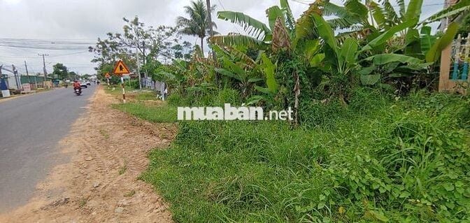 Bán đất sổ hồng 6 x 20 m mặt tiền Quốc lộ 55 cũ