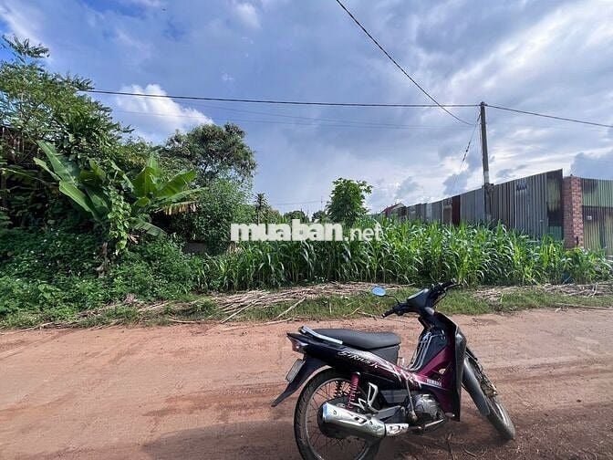 Bán lô đất mặt tiền QL14 xã Cư Jut Lâm Đồng mới đối diện KCN Tâm Thắng