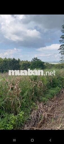 1.7ha đất vườn quá rẻ, cao ko ngập view Sông