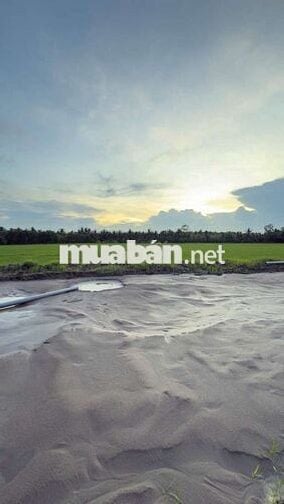 CẦN BÁN GẤP 11.000m² – XÃ TIỂU CẦN, VĨNH LONG