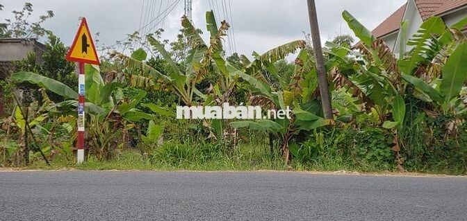 Bán đất sổ hồng 6 x 20 m mặt tiền Quốc lộ 55 cũ