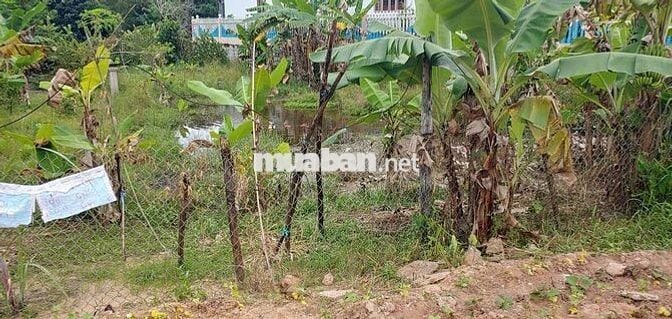 Bán đất sổ hồng 6 x 20 m mặt tiền Quốc lộ 55 cũ