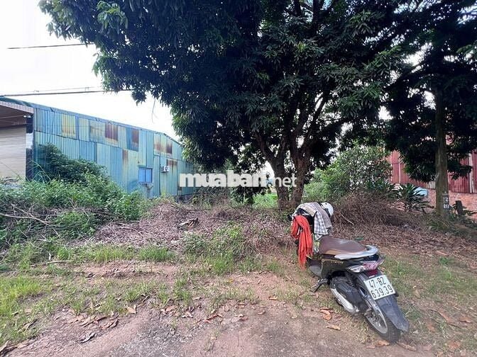 Bán lô đất mặt tiền QL14 xã Cư Jut Lâm Đồng mới đối diện KCN Tâm Thắng