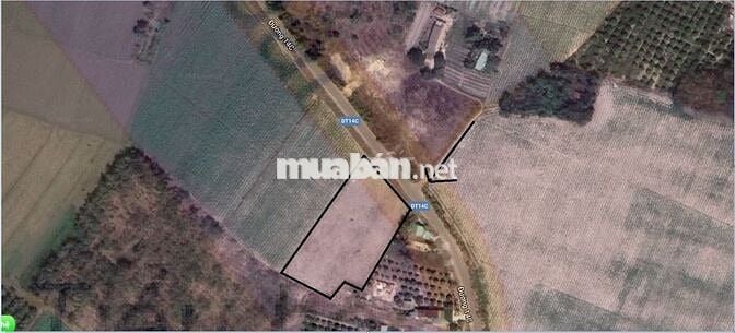 LÔ ĐẤT ĐẸP MẶT TIỀN ĐƯỜNG TỈNH 14C HUYỆN BẾN CẦU