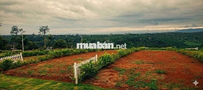 🌿Em cần bán lô đất view săn mây gần TP Bảo Lộc