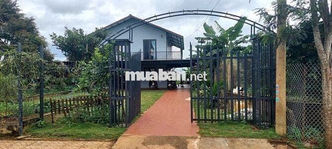 🌿Em cần bán lô đất view săn mây gần TP Bảo Lộc