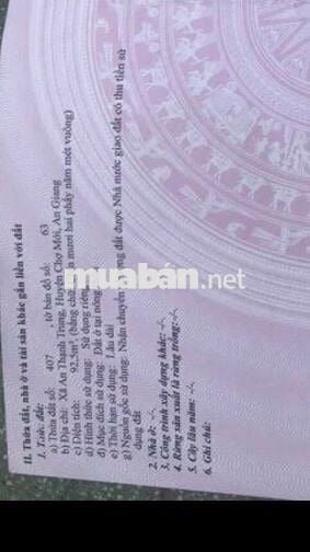 Đất ở chính chủ, Sổ hồng, đường 944, Chợ Mới, AG