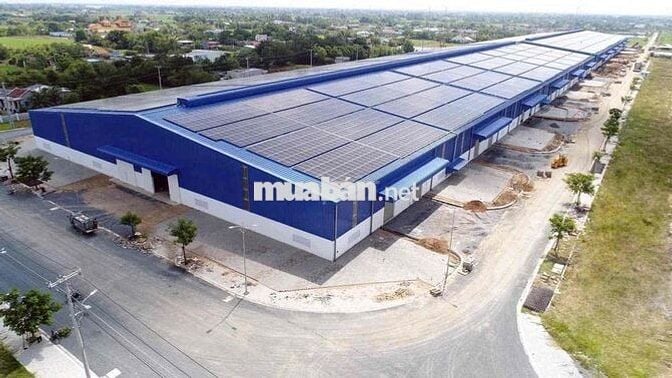 🌾CHO THUÊ KHO XƯỞNG LONG AN (tây ninh mới)