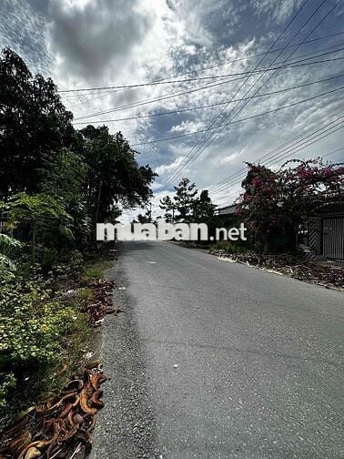 BÁN GẤP LÔ ĐẤT THỔ CƯ 100% – THỊ TRẤN MỸ LUÔNG – GIÁ MỀM NHẤT KHU VỰC