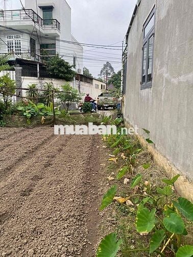 Đường Đồng Khởi Vào 1 Xẹc - Nhà Chủ Sát Đất