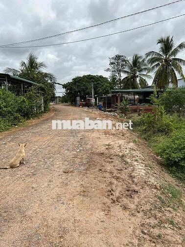 Đất Long Giang- Bến Cầu-Tây Ninh