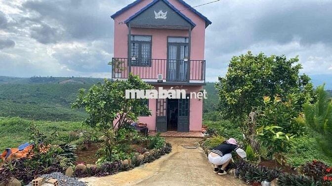 chính chù cần bán nhà giá rẻ Di Linh - Lâm Đồng