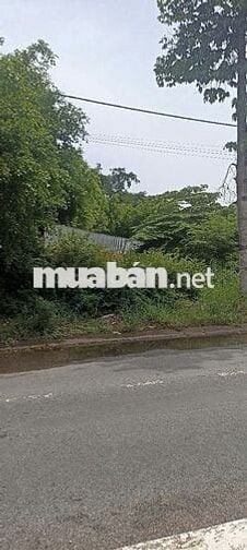 Đất nền thổ cư Đường Tỉnh lộ 942Đường Dẫn Cầu Ông Chưởng(quốc lộ 80B)