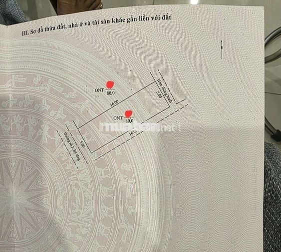 Chính chủ đất thổ cư đẹp vuông vứt Chợ Mới,Tân Châu,