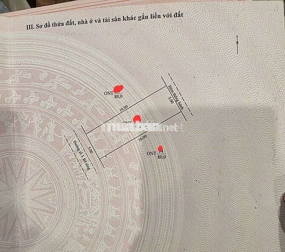 Chính chủ đất thổ cư đẹp vuông vứt Chợ Mới,Tân Châu,