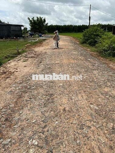 Đất Long Giang- Bến Cầu-Tây Ninh