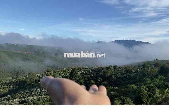 chính chù cần bán nhà giá rẻ Di Linh - Lâm Đồng