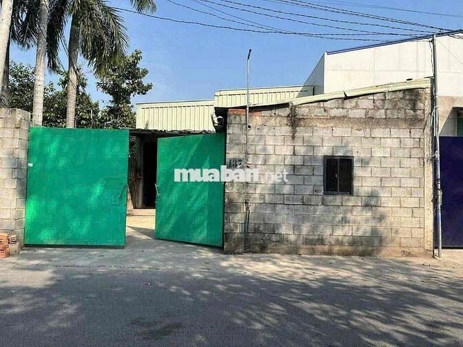 Bán đất tặng kho xưởng mặt tiền đường DJ5 , gần KCN Mỹ Phước 3