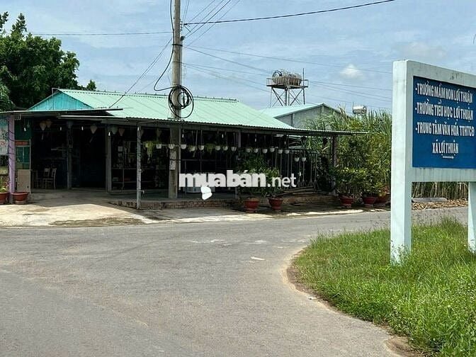 Chính chủ cần bán 2480m2 Full thổ cư Lợi Thuận - Bến Cầu - Tây Ninh