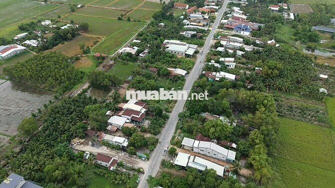 Siêu phẩm ONT 248.2 m2 mặt tiền ấp Mỹ Thạnh Bắc, Đức Huệ, Long An